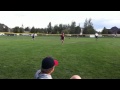 Baseball Dog