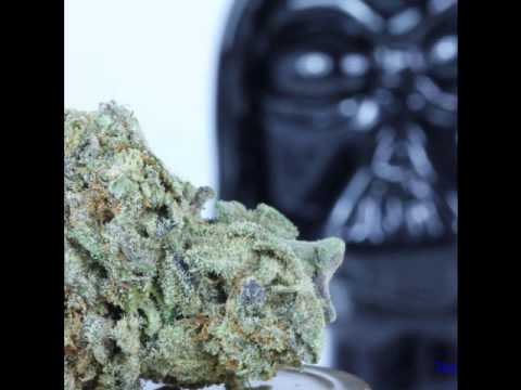 Video thumbnail for Lord Vader Kush