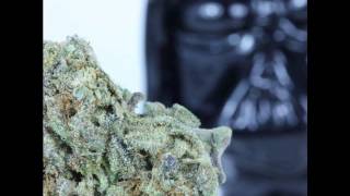 Denzel Curry &amp; Ruben Slikk - LordVaderKush [Prod. By Keenanza]