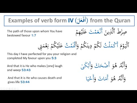 Madinah Arabic Book 3, Lesson 17 (Part 5)