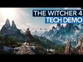 The Witcher 4 Das Verrät Die Tech Demo Zu Setting Spielwelt Und Unreal Engine 5 Technik