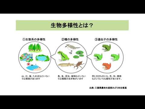 図 4: クモ類と軟体動物の種の発見率 (WCMC、1992 年、1990 年 5 月、および Simon、1983 年より)