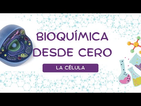 INTRODUCCIÓN A LA BIOQUÍMICA (Niveles de organización, la célula y sus organelos)
