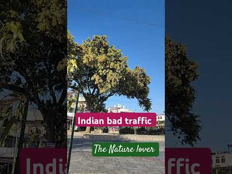 The Roadside clip #naturevlog #musicforrelax #trending #travel