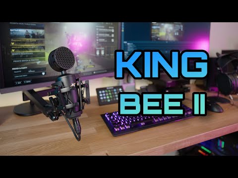 NEAT King Bee II Review - XLR For Everyone