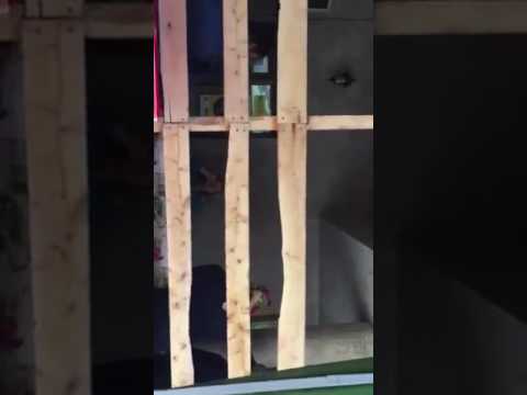 Vedeta (Veta ) prajesti city