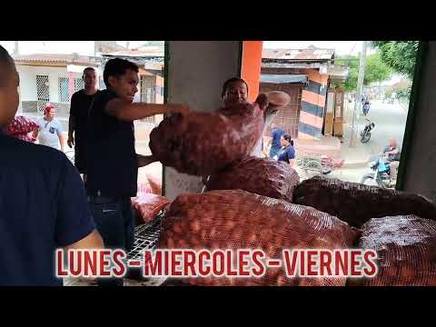 Frutas y verduras los paisas en El Carmen de Bolivar, calle 27 carrera 59 centro. 