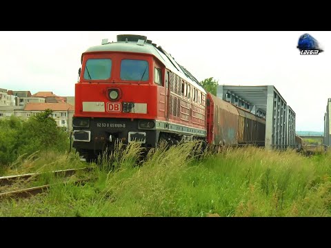 🚂BR232 Ludmilla Dieselok 65-1009-8 & Marfar DB Cargo Freight Train in Oradea - 31 May 2021