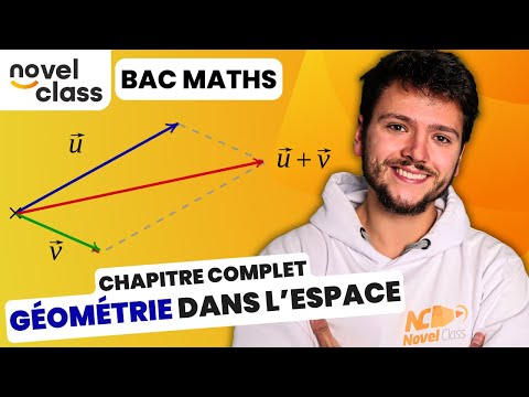 VECTEURS, DROITES ET PLANS - Tout savoir sur la Géométrie dans l'Espace - Maths Terminale NovelClass