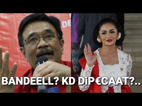 Krisdayanti Dicibir & Dikri itik Habis-habisan, Ketua DPP PDIP Ambil Tindakan TEGAS? Peecaat KD??