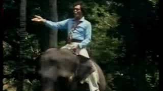 Jack Jersey - Sri Lanka my Shangrilah