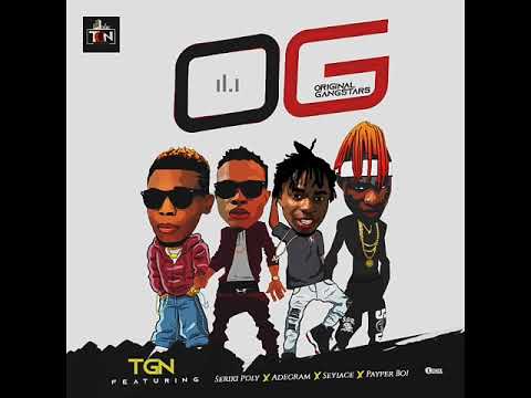 TGN Ft. Seriki Poly x Adegram x Seyiace x Payper Boi – OG