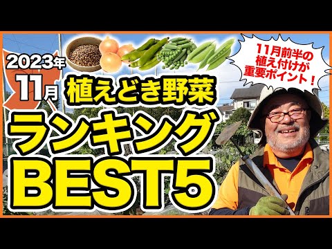  11月に植える果樹はどれですか?おいしい収穫のためのリストをご覧ください!  庭園