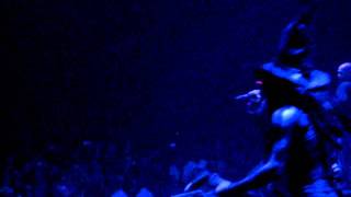 Limp Bizkit - Introbra / Gold Cobra