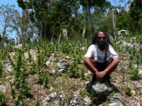 Dandy Livingstone - Caribbean Rock
