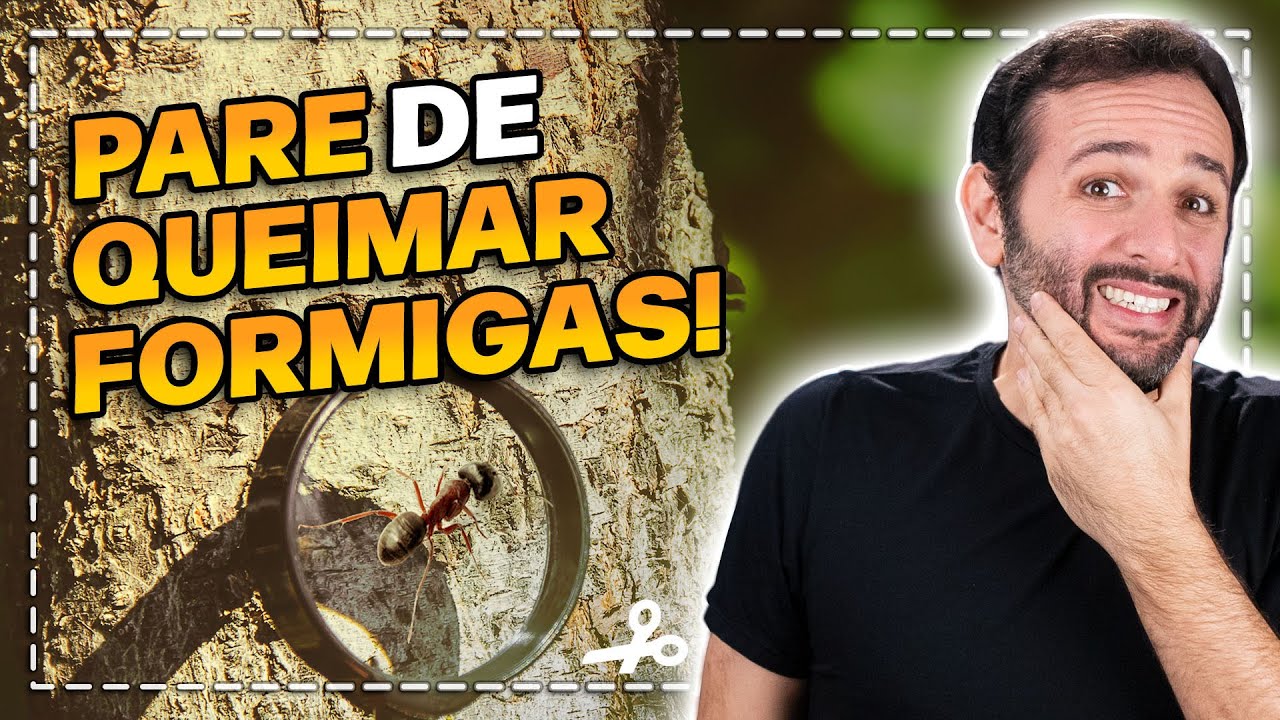 Fazer FOGO com LUPA: como funciona? | Cortes do Manual do Mundo