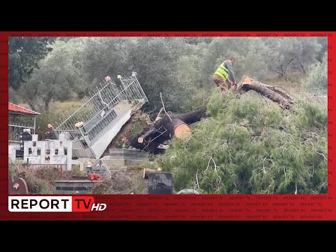 Era e fortë shemb pemën në Vlorë, dëmtohen disa varreza