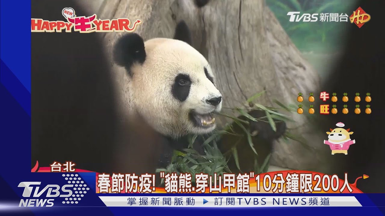 動物園初一走春發「牛年門票」 限量15萬張