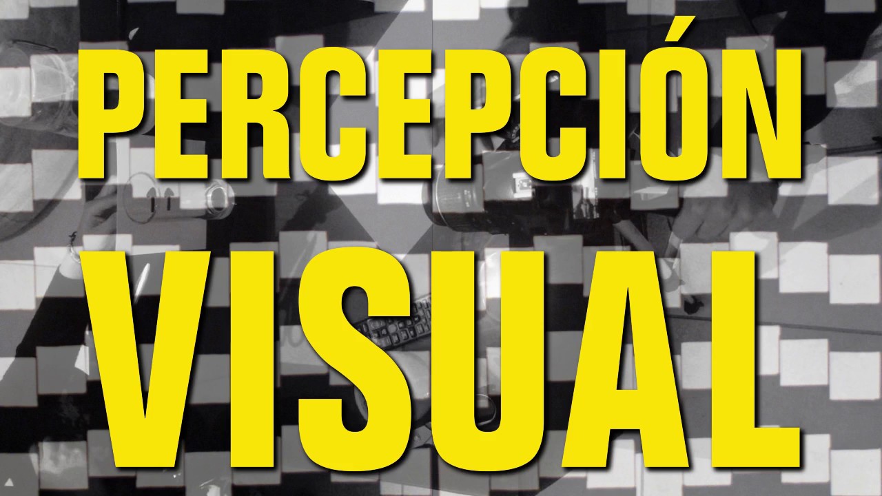Percepción Visual