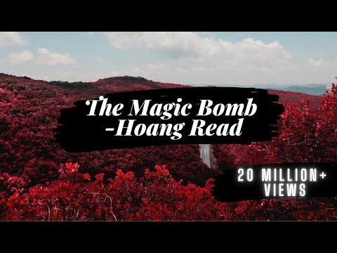 The Magic Bomb- Hoang Read