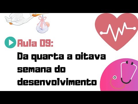 EMBRIOLOGIA HUMANA | AULA 09 | DA QUARTA A OITAVA SEMANA  DO DESENVOLVIMENTO EMBRIONÁRIO