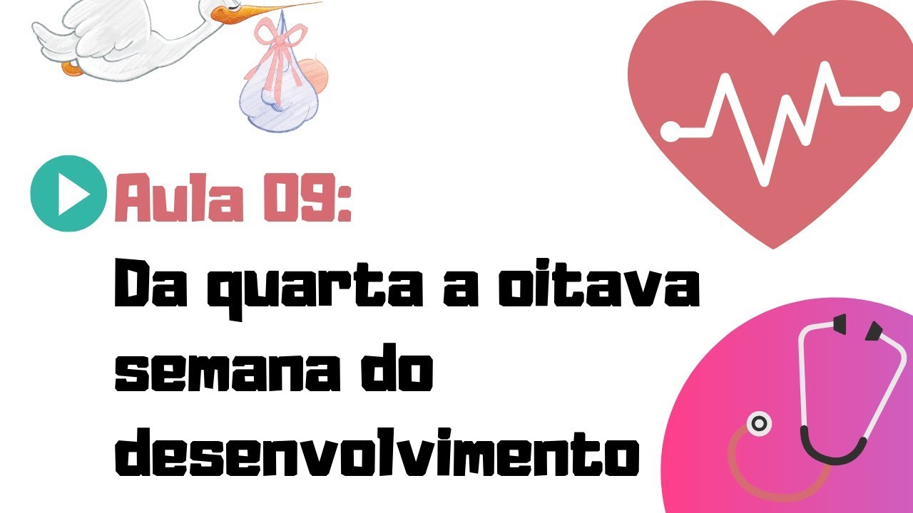 EMBRIOLOGIA HUMANA | AULA 09 | DA QUARTA A OITAVA SEMANA  DO DESENVOLVIMENTO EMBRIONÁRIO