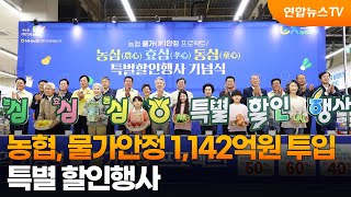 농협, 물가안정 1,142억원 투입…특별 할인행사 / 연합뉴스TV (YonhapnewsTV)