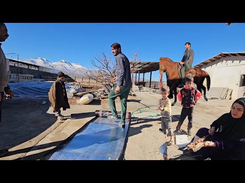 🏠🐄💧Roof Waterproofing in the Cowshed | Babak and Soleyman Working Together