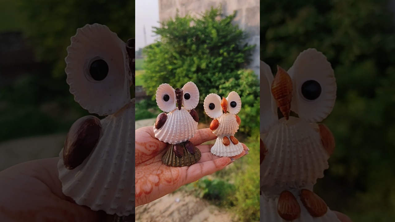 DIY Seashell owl🦉 #diy #craft #seashells #trending #viral #artandcraft #youtubeshorts #shorts #short