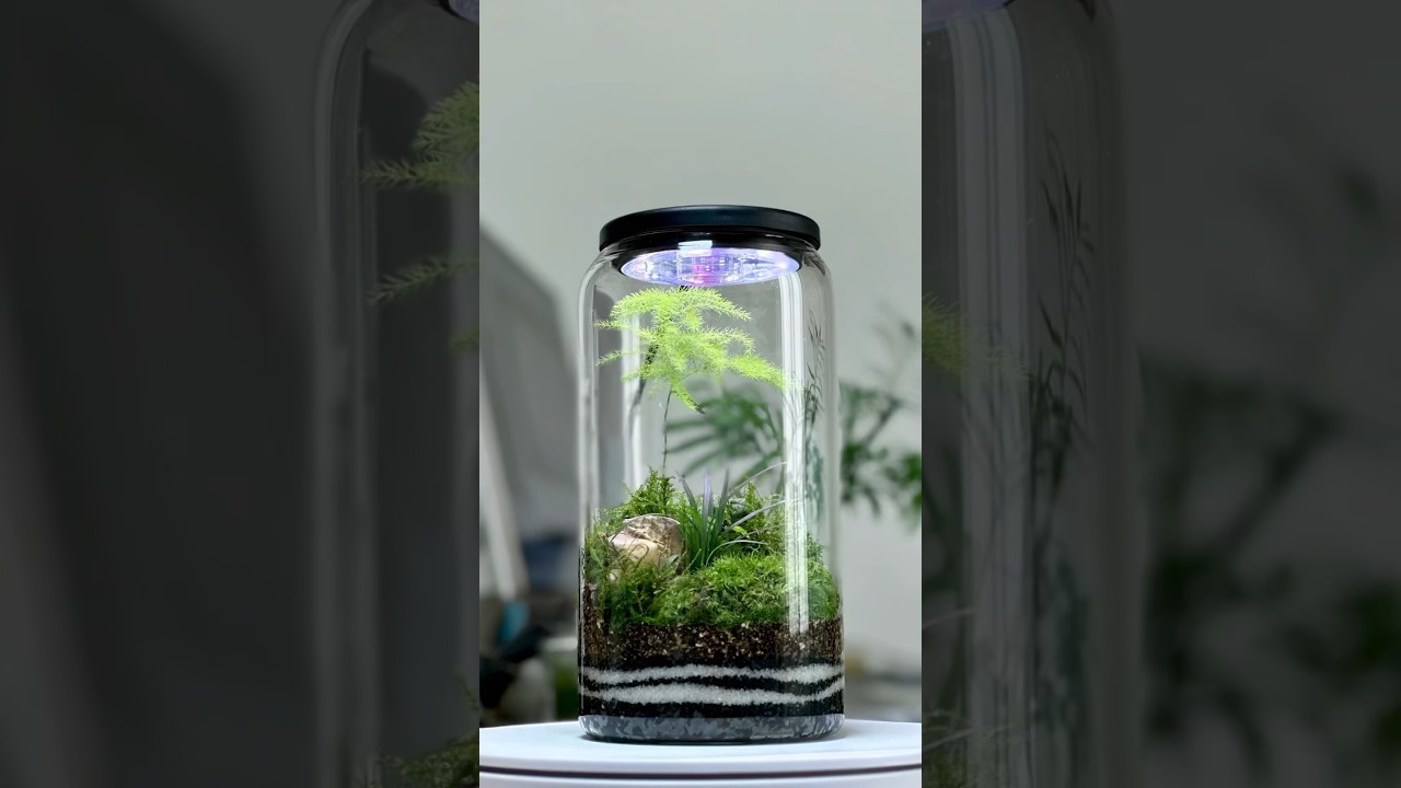 苔テラリウムを作る。mossterrarium