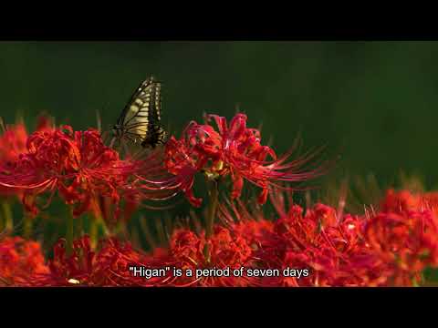 Higan, Japanese ancestral customs