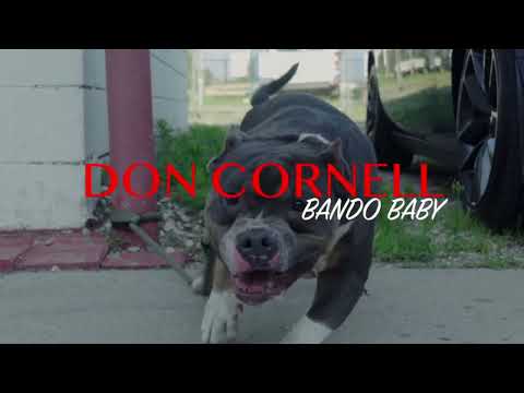 Don Cornell-Bando Baby‼️ (Official Music Video)