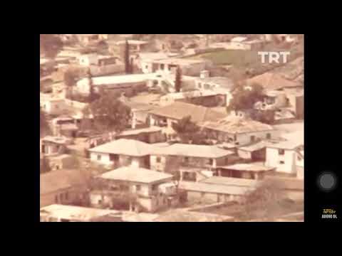 Yaşar Kemal babasının öldürülüş hikayesi