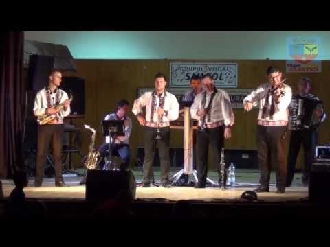 Formatia "Rapsodia" Arad in concert