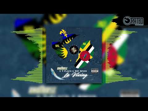 Knutkase x T Flaco x Nst Speed - La Viving (Official Audio)