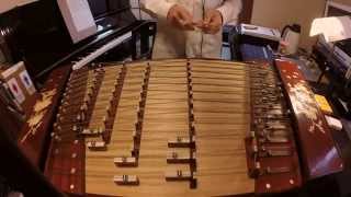 洋琴でElectrocutica作品を試奏してみた！