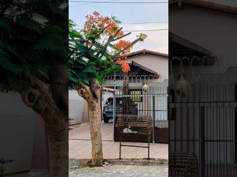 Casa funcional, personalizada e acolhedora à venda em Pau dos Ferros RN