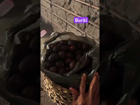 Buriti. Barrinha. Afonso Cunha-MA
