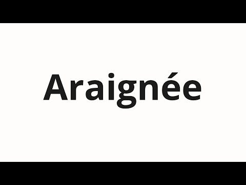 How to pronounce Araignée