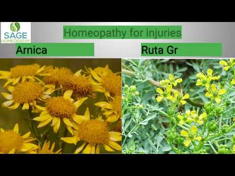 Arnica Montana and Ruta Graveolens - Homeopathic remedies for injuries.