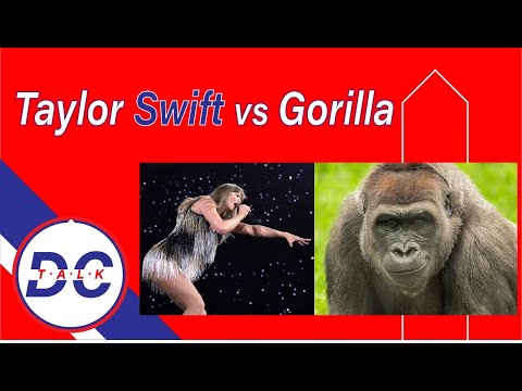 DCT Episode 13: Taylor Swift vs Gorilla