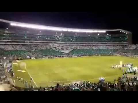 "TIFO 104 AÑOS 1Â° PARTE | UNA HINCHADA DE PRIMERA | TheSanty YT" Barra: Frente Radical Verdiblanco • Club: Deportivo Cali