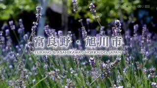 preview picture of video '富良野・旭川市　Furano & Asahikawa / Hokkaido, Japan'