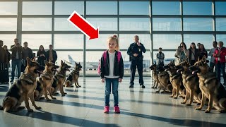 15 Police Dogs Surround a Little Girl at the Airport — What Happened Next Left Everyone Shocked!