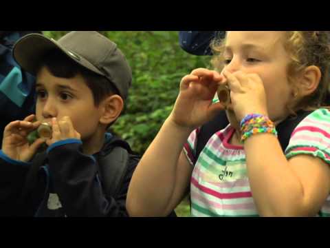 Das grüne Klassenzimmer