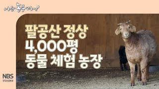 [나는농부다 285회] 팔공산 정상 4,000평 동물 체험 농장