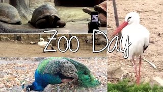 Vlog | Zoo Time !