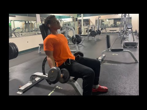 Spring cut day 60 Back and biceps