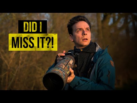 Wildlife Photography Behind The Scenes With Eagle Owl and Beaver