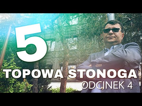 TOPOWA STONOGA - Odcinek 4 (TOP 5 Remixów Zbigniewa Stonogi)